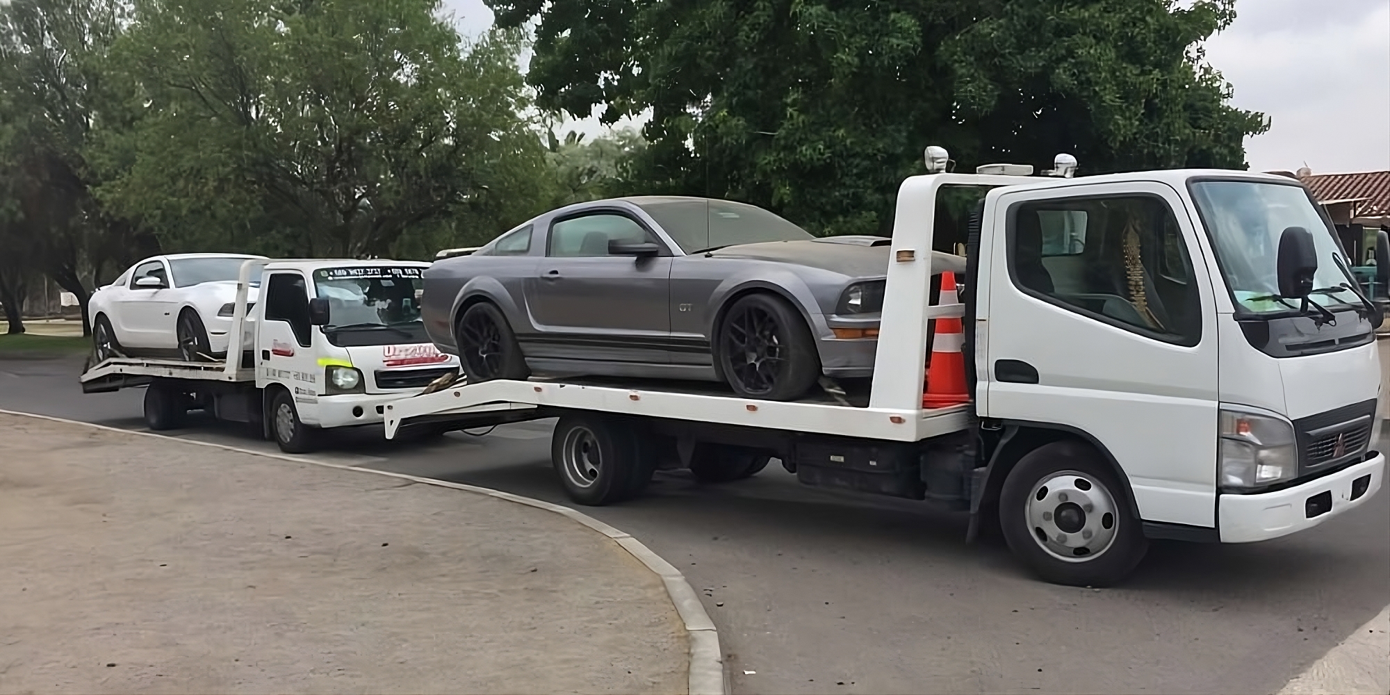 Imagen de Banner de Transporte Kleber